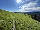 photo thumbnail #7