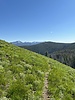photo thumbnail #9