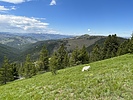 photo thumbnail #8