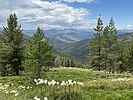 photo thumbnail #11