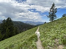 photo thumbnail #13