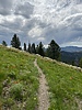 photo thumbnail #14