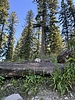 photo thumbnail #6