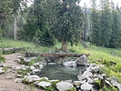 photo thumbnail #7