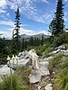 photo thumbnail #10