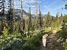 photo thumbnail #1