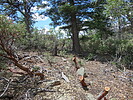 photo thumbnail #4