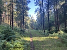 photo thumbnail #6