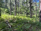 photo thumbnail #11