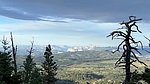 photo thumbnail #4