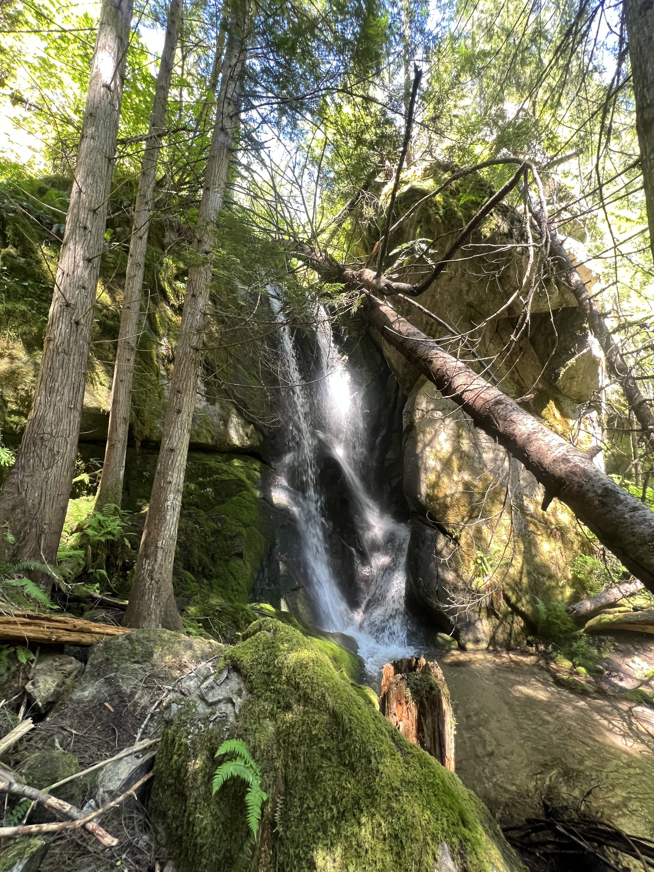 Snowshoe Falls, ID • Hike