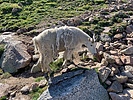 photo thumbnail #10