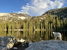 photo thumbnail #2