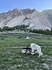 photo thumbnail #10