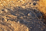 photo thumbnail #13
