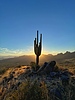 photo thumbnail #10