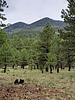 photo thumbnail #13