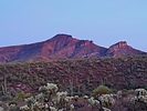 2022-07-19 :: Cave Creek Bosque :: LosDosSloFolks