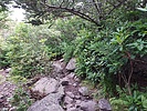 photo thumbnail #13