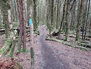 photo thumbnail #14