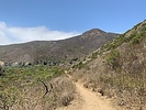 photo thumbnail #2