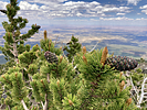 2022-07-09 :2: Abineau - Bear Jaw Loop :: chumley