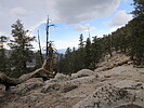 photo thumbnail #4