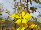 photo thumbnail #3