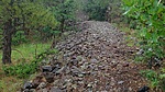 photo thumbnail #14