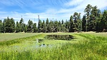 photo thumbnail #10