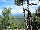 photo thumbnail #8