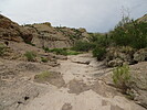 photo thumbnail #10