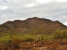 photo thumbnail #3