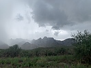 photo thumbnail #1