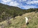 photo thumbnail #9