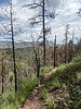 photo thumbnail #3