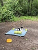 photo thumbnail #2