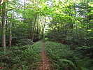 photo thumbnail #5