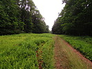 photo thumbnail #12