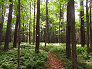 photo thumbnail #15