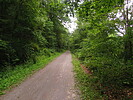 photo thumbnail #2