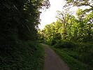 photo thumbnail #3