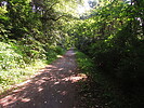 photo thumbnail #5