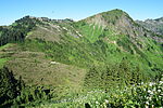 photo thumbnail #10