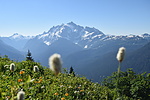 photo thumbnail #14