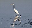 photo thumbnail #13