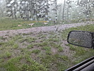 photo thumbnail #14