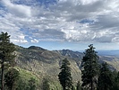 photo thumbnail #1