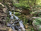 photo thumbnail #6