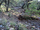 photo thumbnail #11